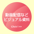動画配信などビジュアル資料
