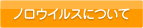 ノロウィルスについて