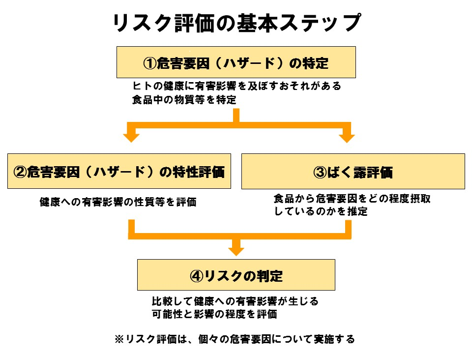 リスク評価の基本ステップ