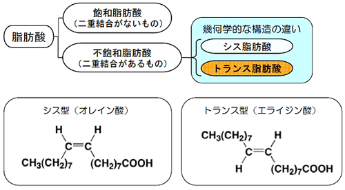 図１　脂肪酸の分類