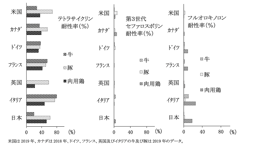 家畜由来の大腸菌における薬剤耐性率の国際比較(2020年)のグラフ