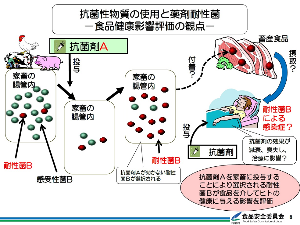 抗菌性物質の使用と薬剤耐性菌の説明図