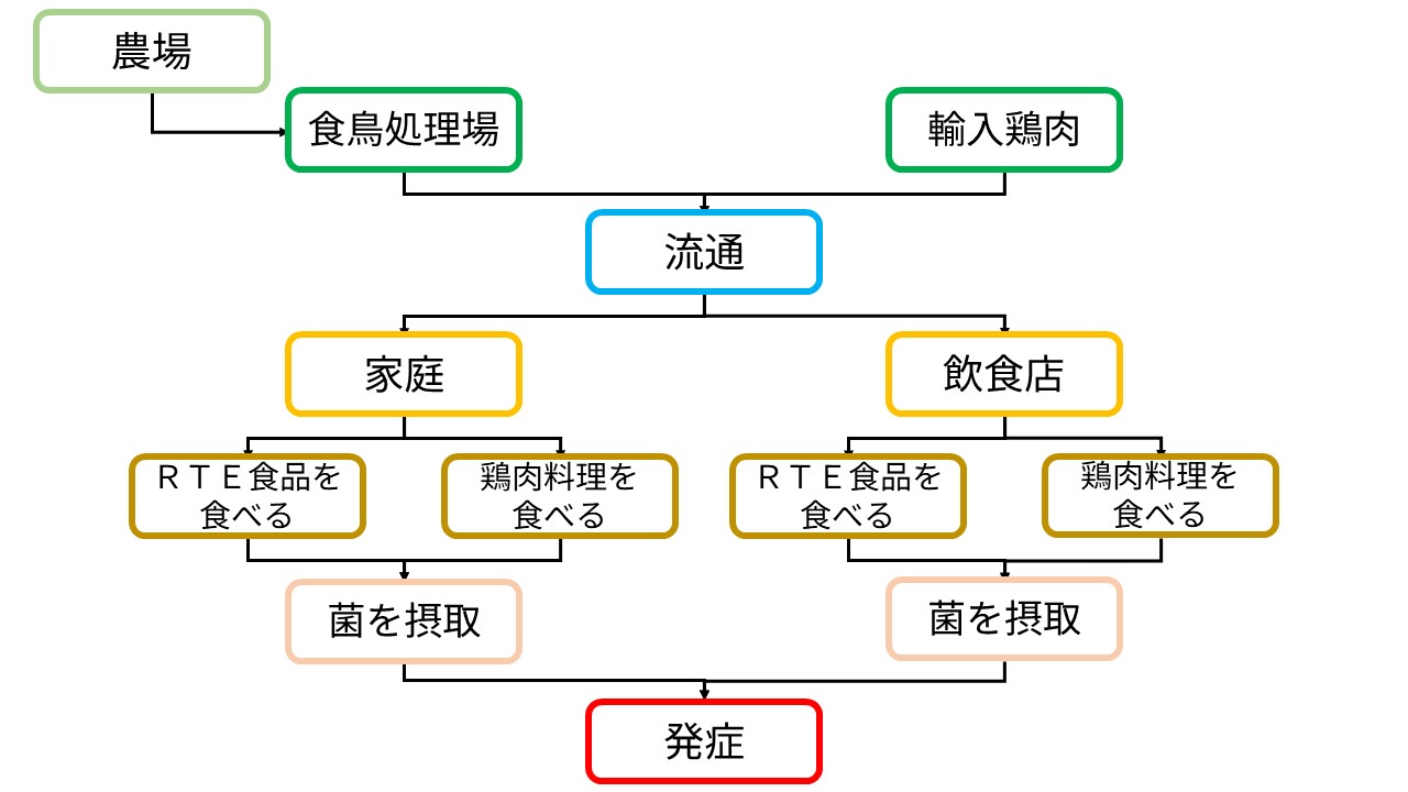 抗菌性物質の使用と薬剤耐性菌の説明図