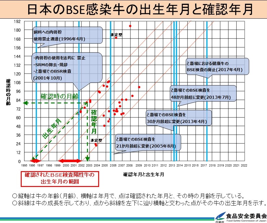 日本のBSE感染牛の出生年月と確認年月