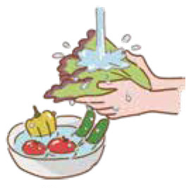 食中毒を防ぐために〜野菜の場合〜