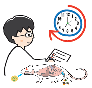 農薬について学ぼう　その２　農薬は体に蓄積するの？