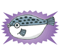 毒がある魚がいるって本当