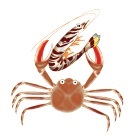 食品の色はなぜ変わる