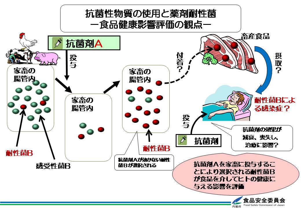 抗菌性物質の使用と薬剤耐性菌