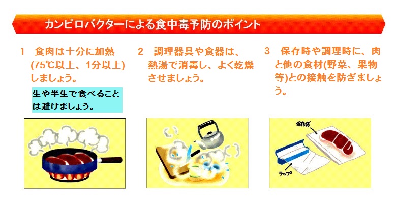 カンピロバクターによる食中毒予防のポイント。食肉は十分に加熱（75℃以上、1分以上）しましょう。調理器具や食器は、熱湯で消毒し、よく乾燥させましょう。保存時や調理時に、肉と他の食材（野菜、果物等）との接触を防ぎましょう。