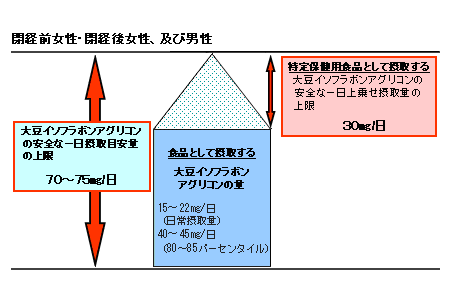 閉経前女性・閉経後女性、及び男性