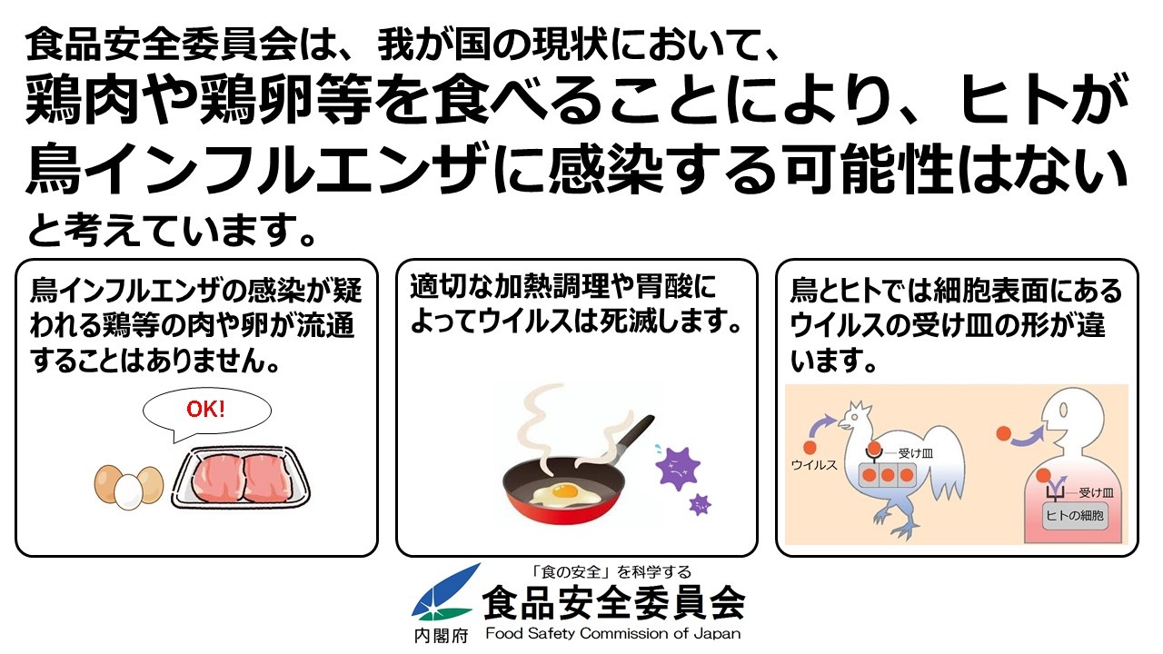 食品安全委員会は、我が国の現状において、鶏肉や鶏卵等を食べることにより、ヒトが鳥インフルエンザウイルスに感染する可能性はないと考えています。