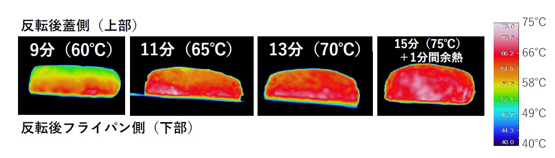 ハンバーグの断面の温度分布