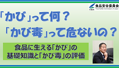 かび評価