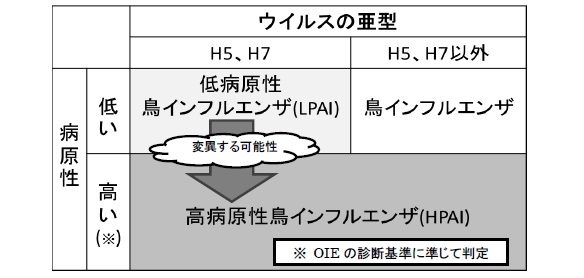 鳥インフルエンザの病原性と亜型